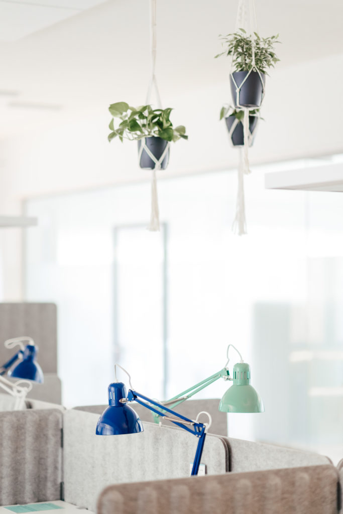 Pflanzen im Firmenbüro bringen sofort eine angenehme Atmosphäre ins Office. Design von Workplace Innovations GmbH.